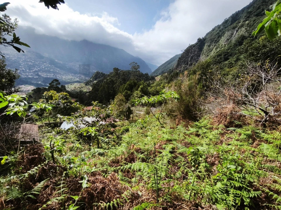 Terreno para Venda em São Vicente Foto 11