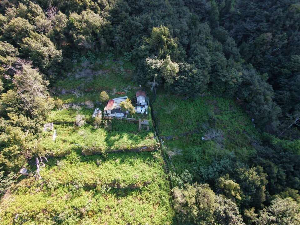 Terreno para Venda em São Vicente Foto 28