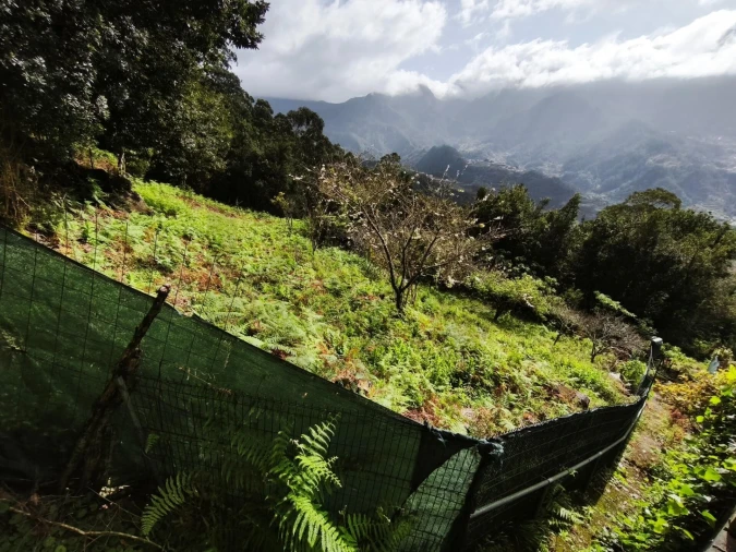 Terreno para Venda em São Vicente Foto 5