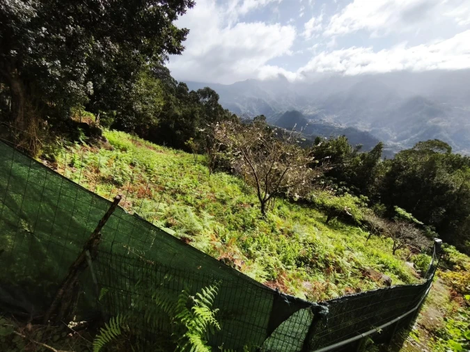 Terreno para Venda em São Vicente Foto 19