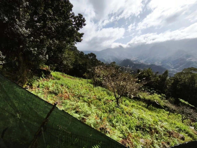 Terreno para Venda em São Vicente Foto 21