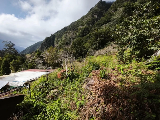 Terreno para Venda em São Vicente Foto 8