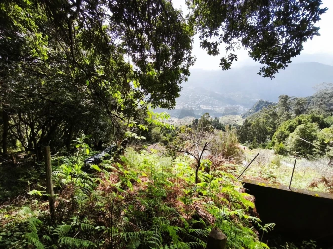 Terreno para Venda em São Vicente Foto 14