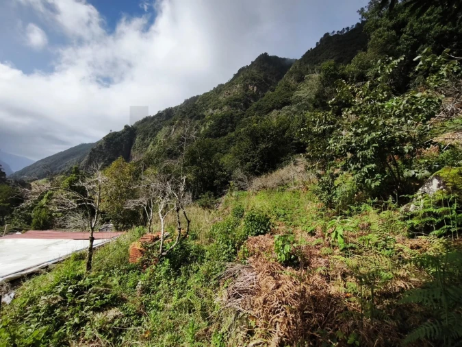 Terreno para Venda em São Vicente Foto 16