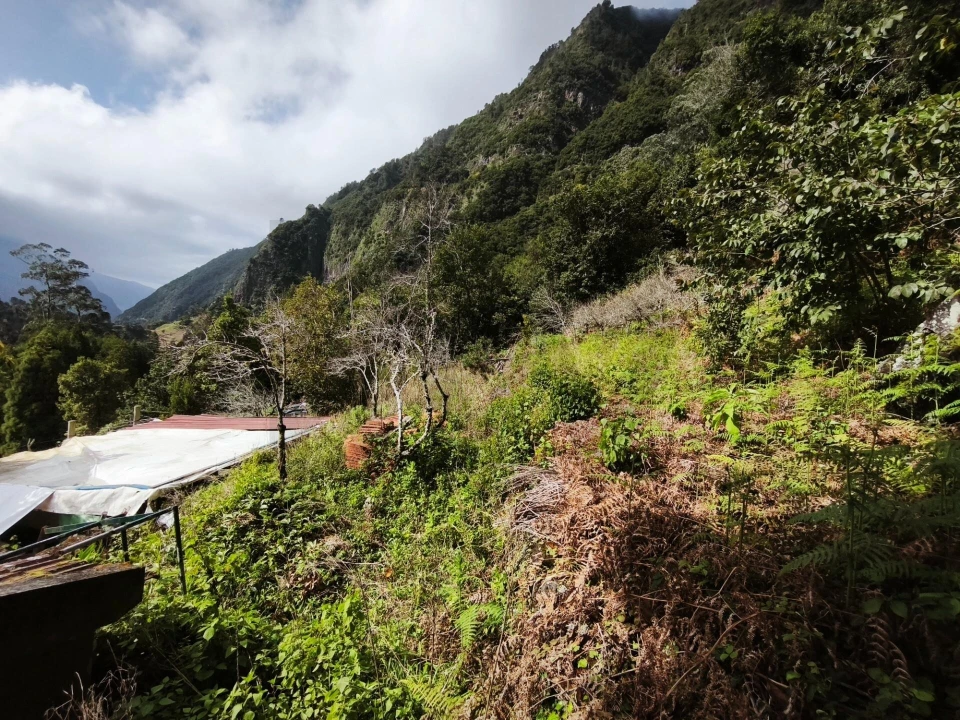 Terreno para Venda em São Vicente Foto 8