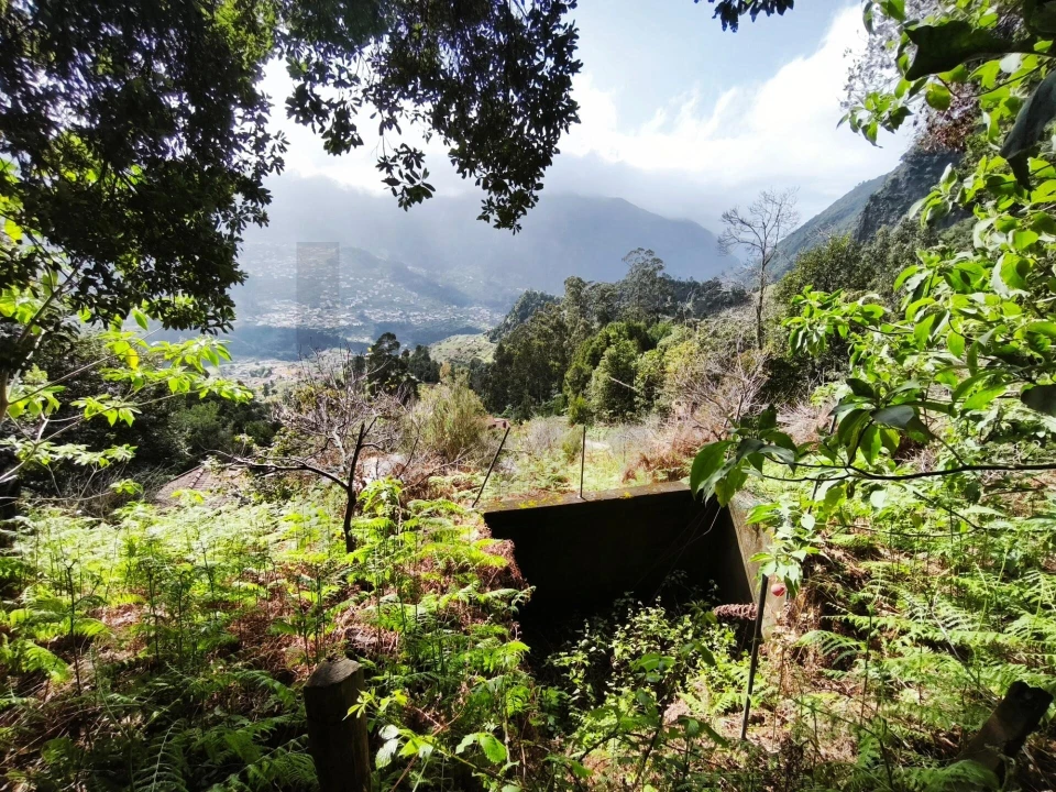 Terreno para Venda em São Vicente Foto 7