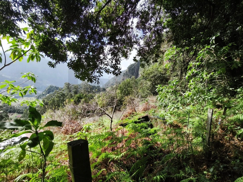 Terreno para Venda em São Vicente Foto 9