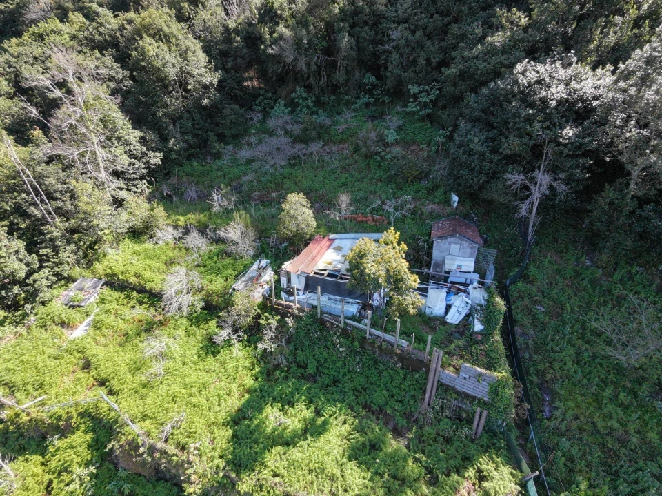 Terreno para Venda em São Vicente Foto 29