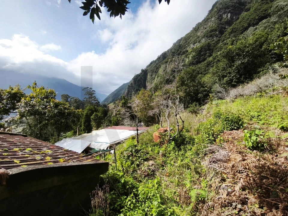 Terreno para Venda em São Vicente Foto 10