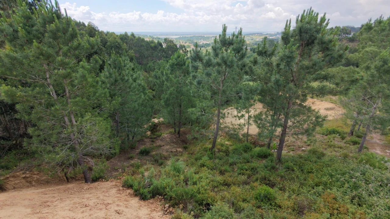 Terreno para Venda em Azambuja Foto 8