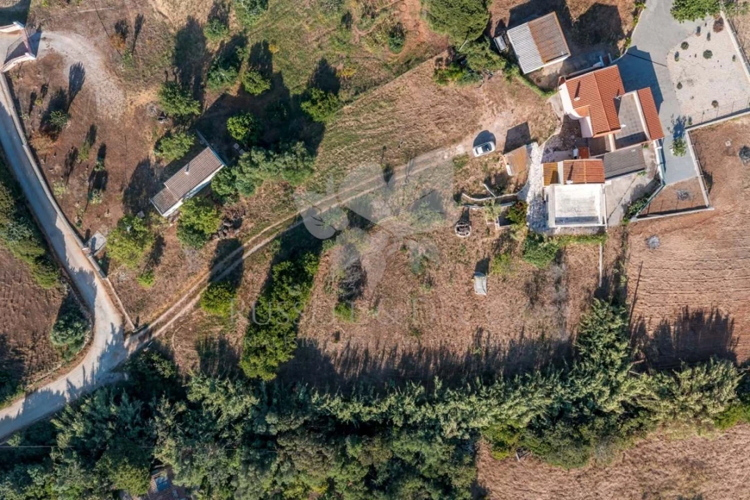Quinta T3 para Venda em Olhão Foto 30