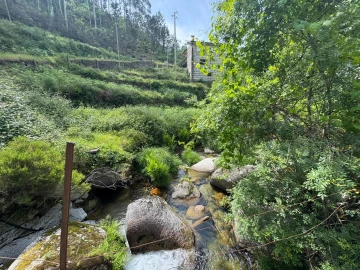 Moradia T3 para Venda em Ansiães