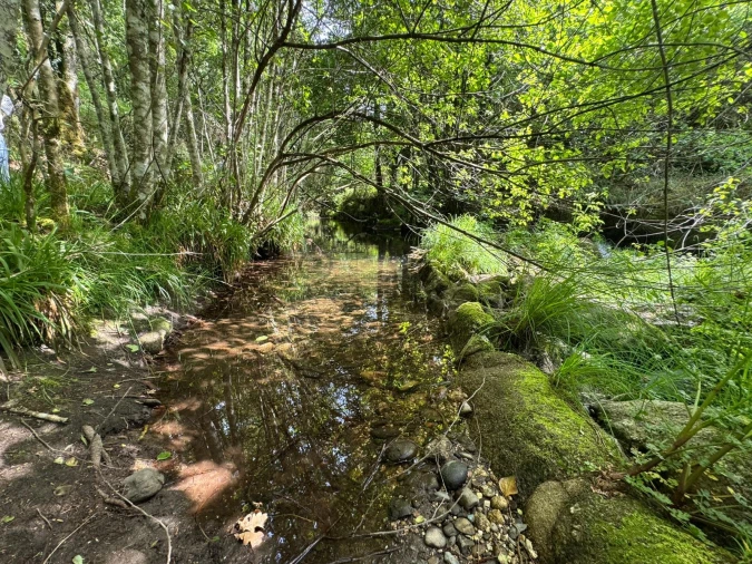 Moradia T3 para Venda em Ansiães Foto 54
