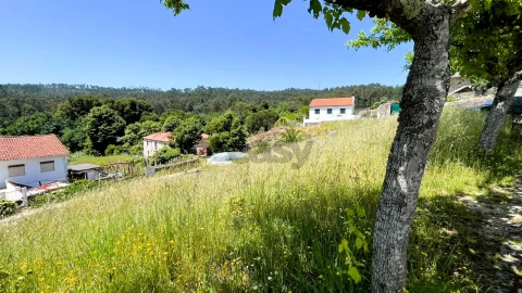 Terreno para Venda em Vilar de Mouros