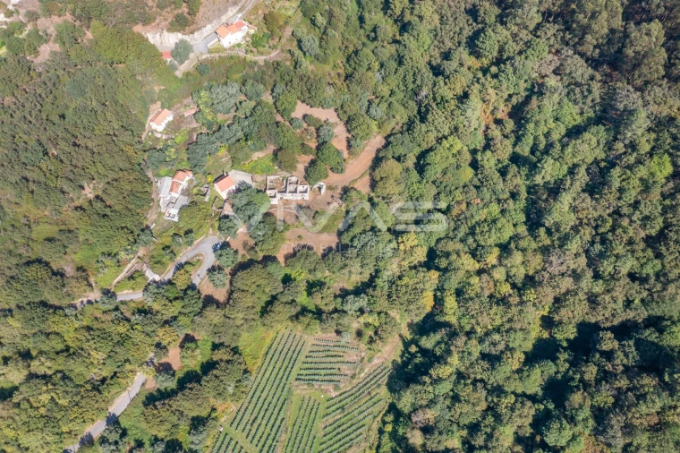Moradia T0 para Venda em Vade Foto 21