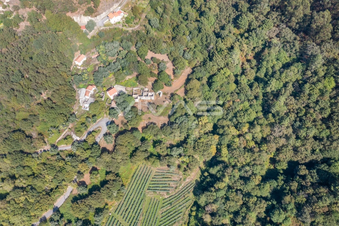 Moradia T0 para Venda em Vade Foto 21