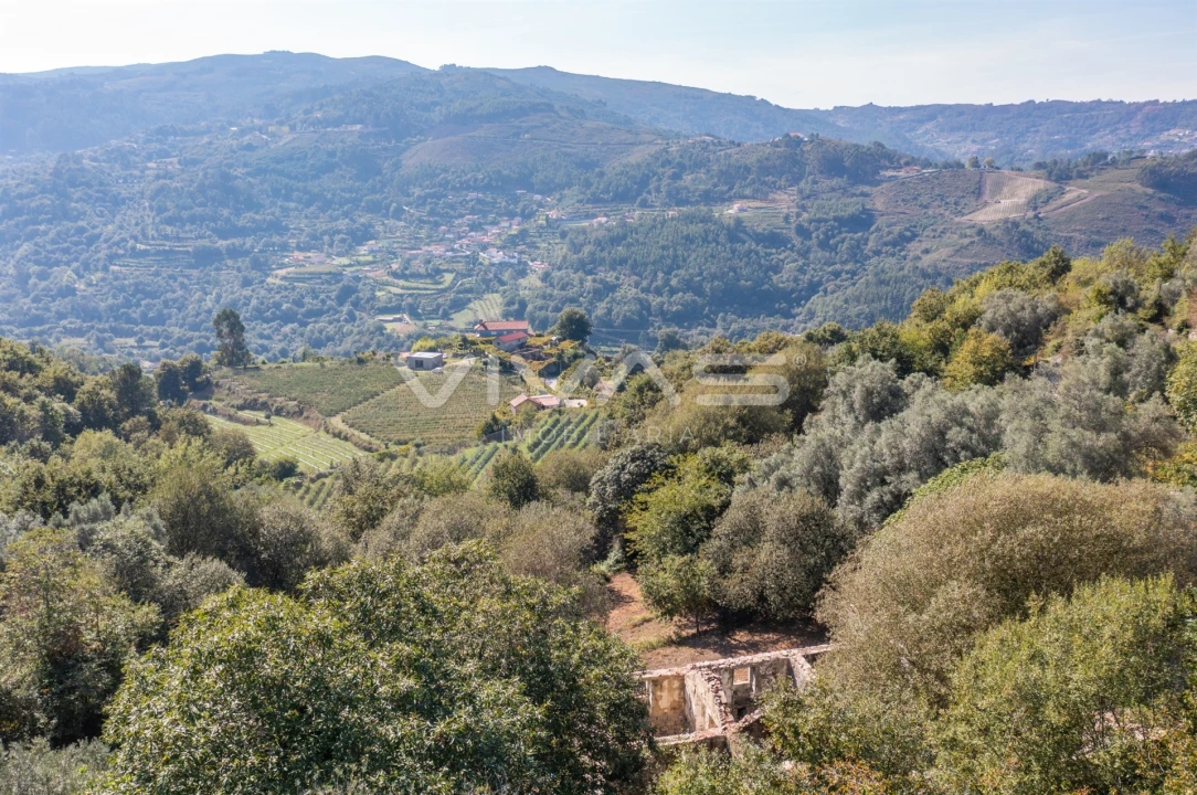 Moradia T0 para Venda em Vade Foto 23