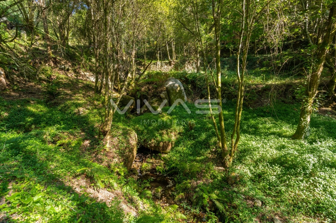 Moradia T0 para Venda em Vade Foto 13