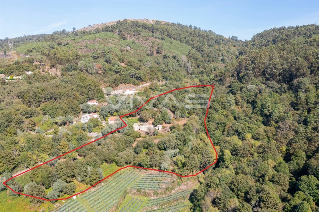 Moradia T0 para Venda em Vade Foto 25