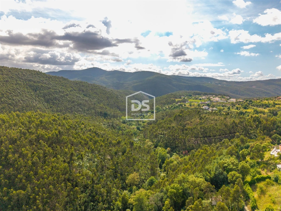 Moradia T3 para Venda em Raiva, Pedorido e Paraíso Foto 5