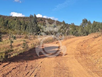 Quinta T4 para Venda em Amieira e Alqueva