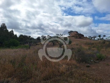 Quinta T4 para Venda em Amieira e Alqueva