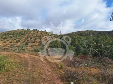 Quinta T4 para Venda em Amieira e Alqueva