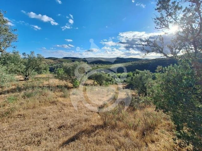 Quinta T4 para Venda em Amieira e Alqueva Foto 11