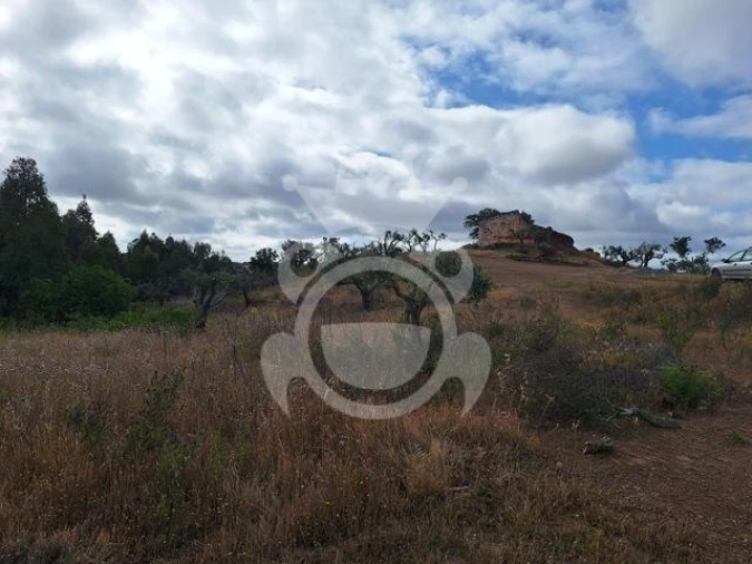 Quinta T4 para Venda em Amieira e Alqueva Foto 18