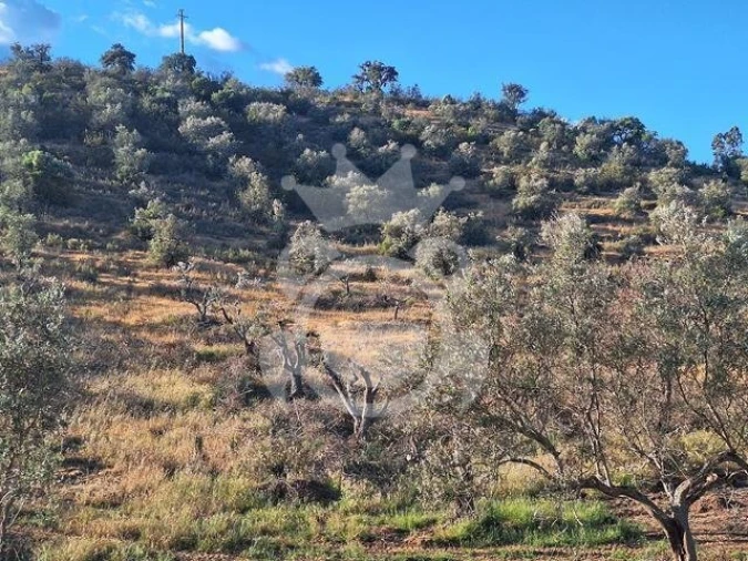 Quinta T4 para Venda em Amieira e Alqueva Foto 2