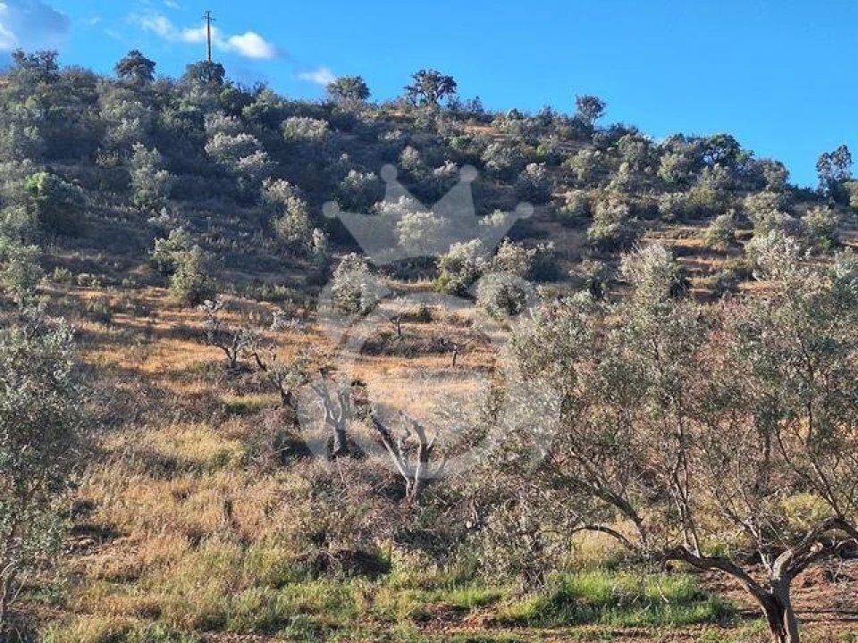 Quinta T4 para Venda em Amieira e Alqueva Foto 2