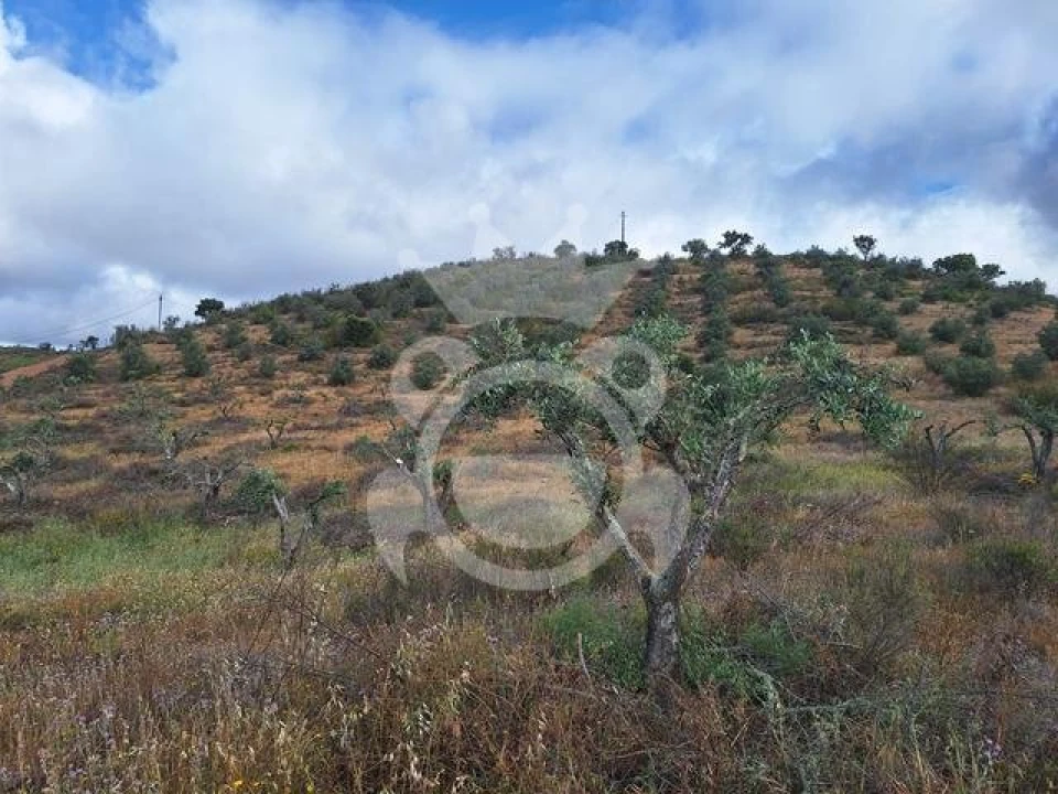 Quinta T4 para Venda em Amieira e Alqueva Foto 17