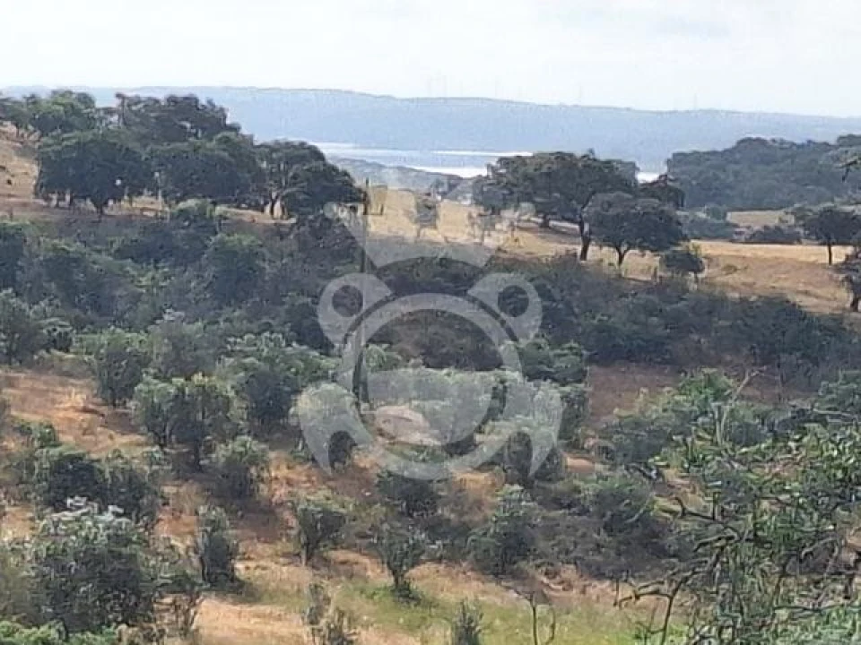 Quinta T4 para Venda em Amieira e Alqueva Foto 7