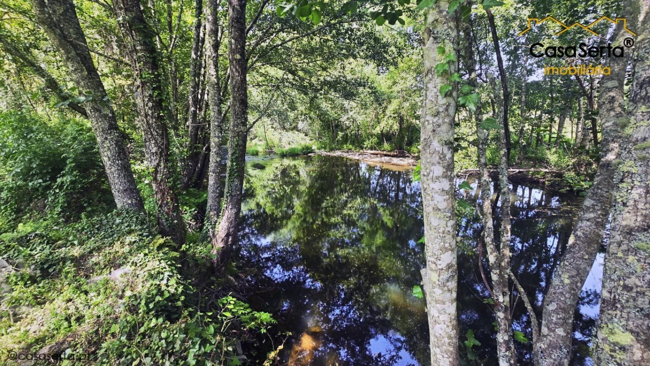 Moradia T2 para Venda em Sertã Foto 5