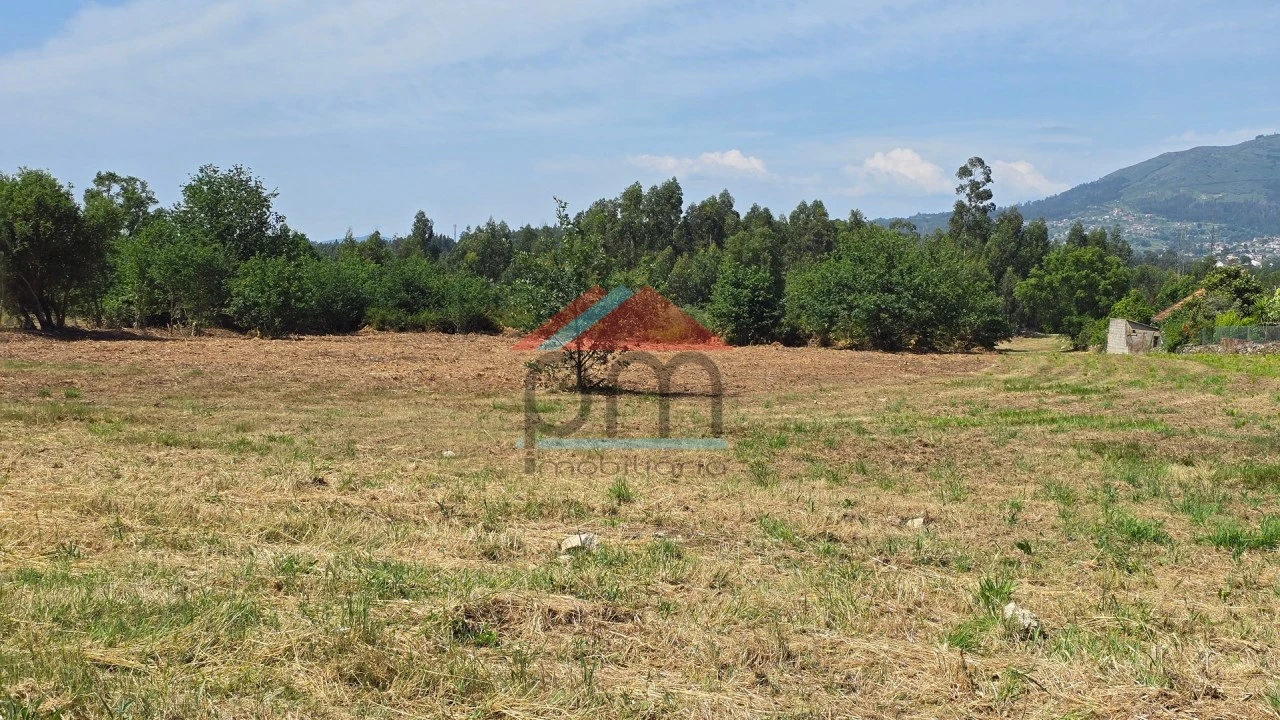 Terreno para Venda em Bela Foto 4