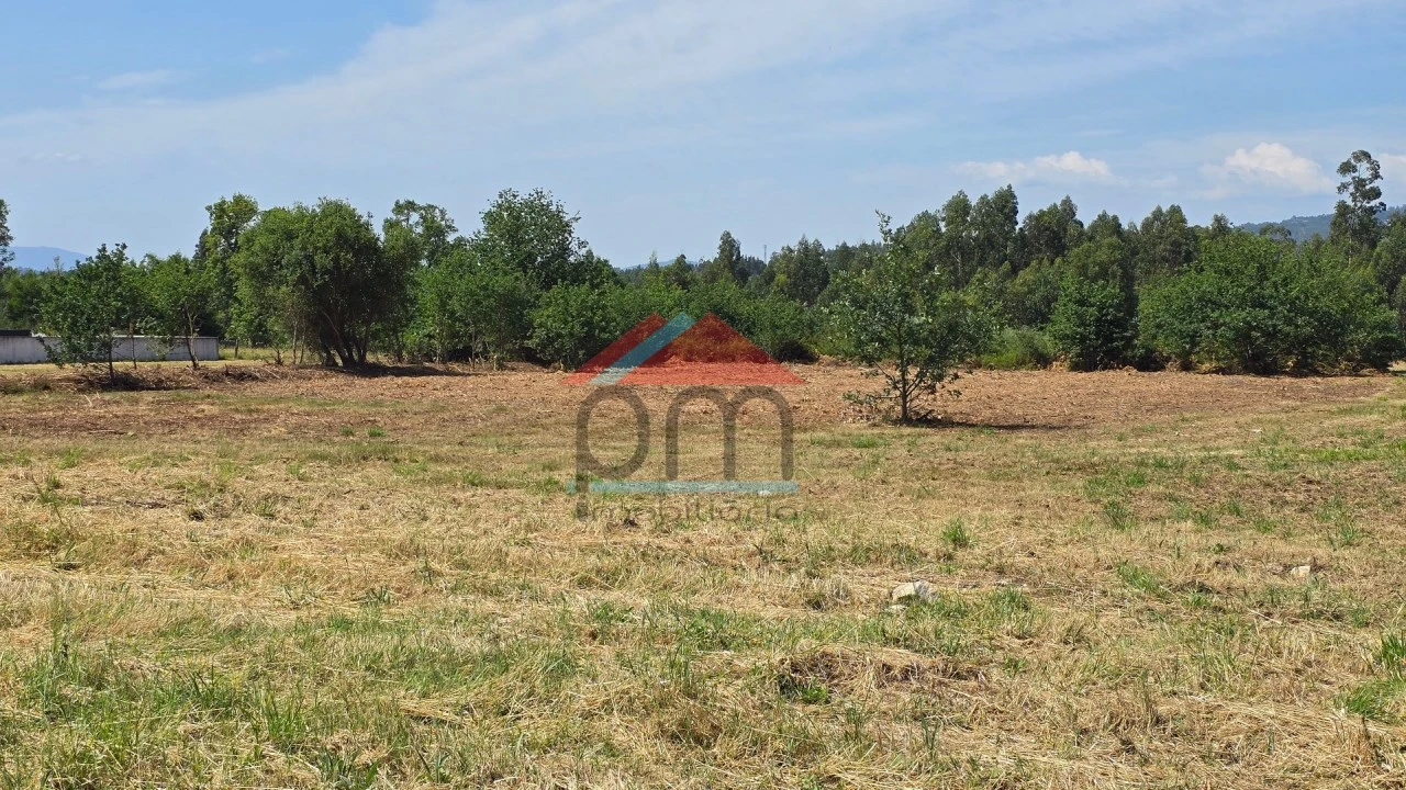 Terreno para Venda em Bela Foto 5
