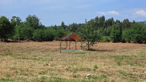 Terreno para Venda em Bela