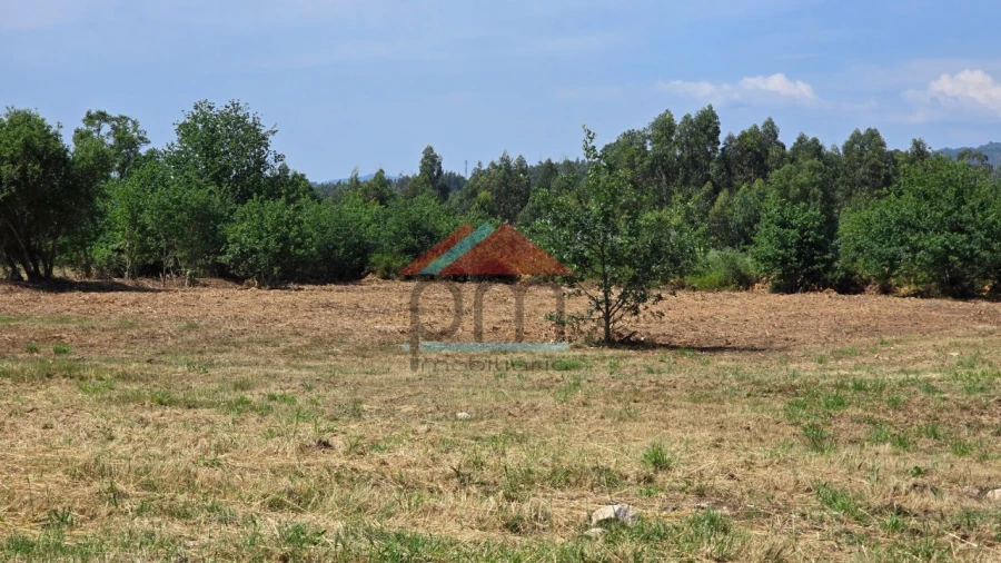 Terreno para Venda em Bela Foto 2