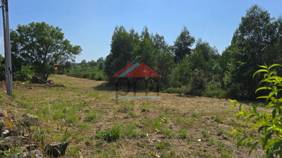 Terreno para Venda em Bela Foto 3