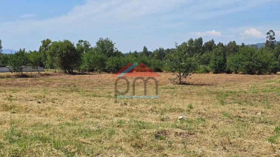 Terreno para Venda em Bela Foto 5