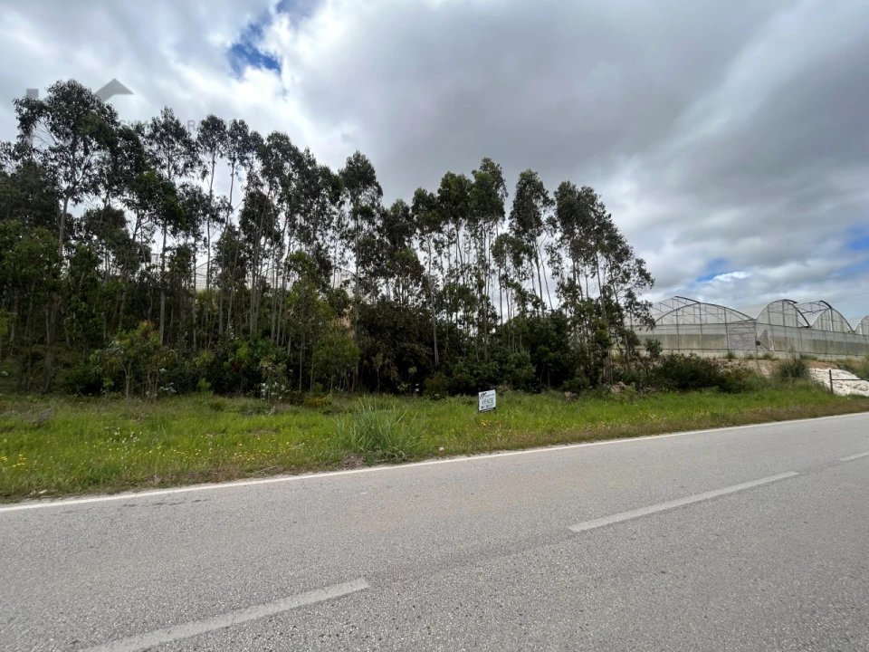 Terreno Agricola ou Rústico para Venda em Silveira Foto 2