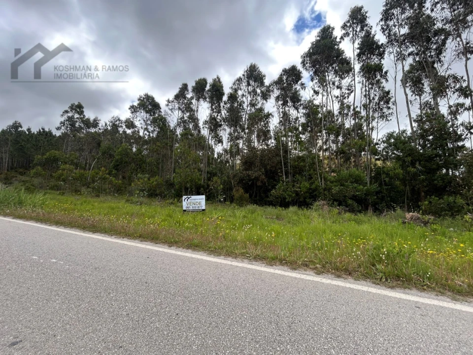Terreno Agricola ou Rústico para Venda em Silveira Foto 4
