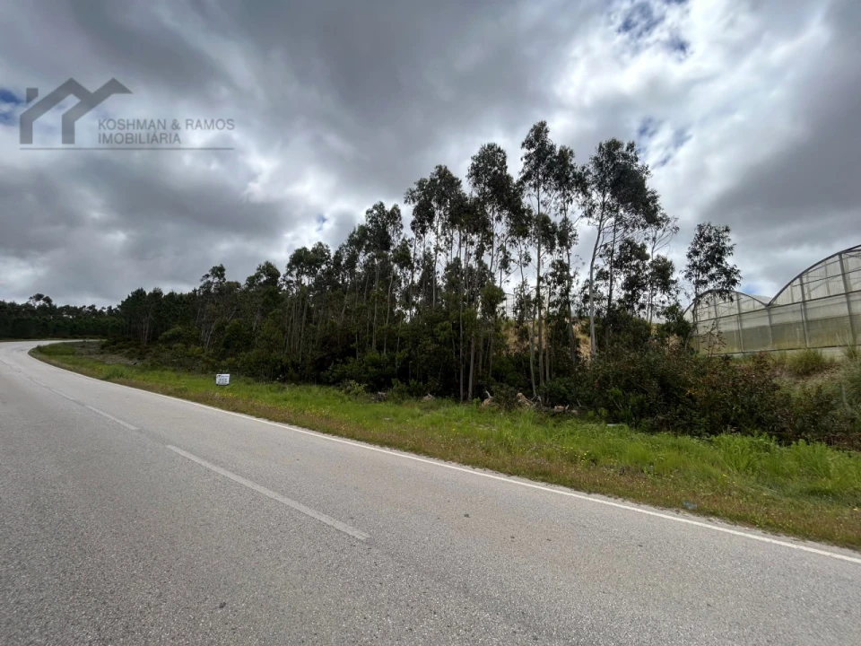 Terreno Agricola ou Rústico para Venda em Silveira Foto 5