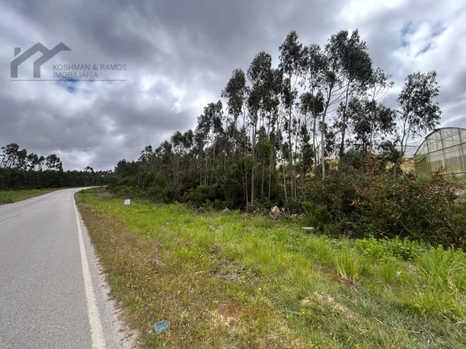 Terreno Agricola ou Rústico para Venda em Silveira Foto 6