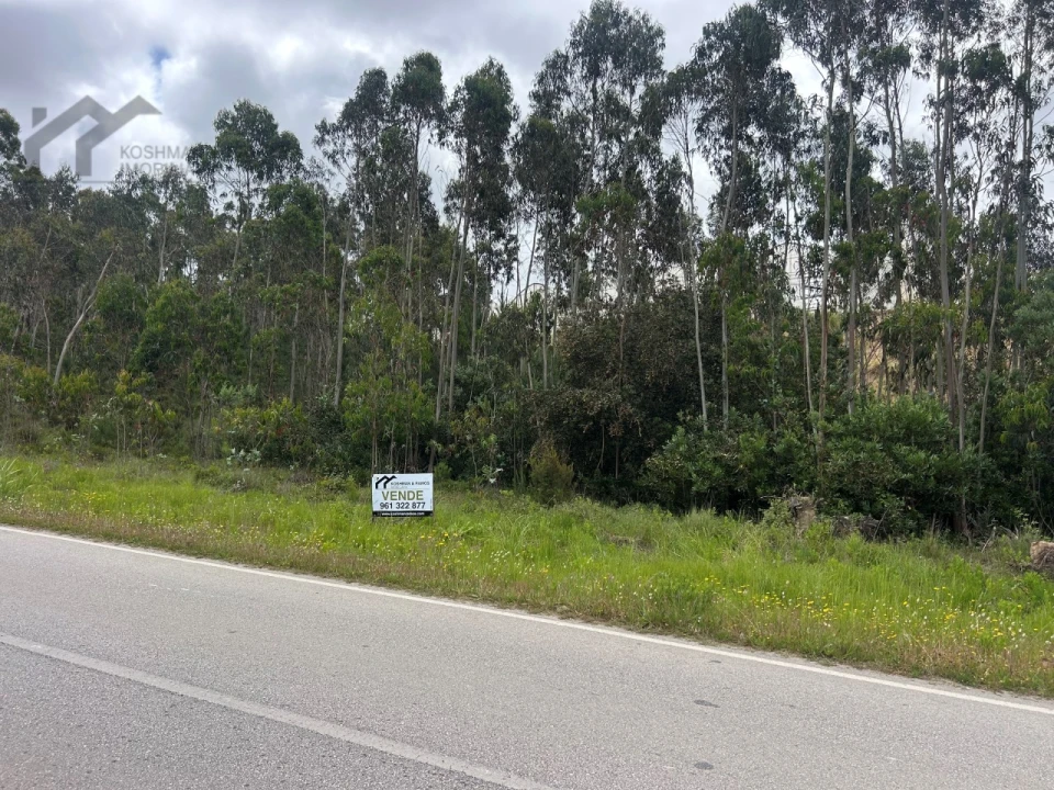 Terreno Agricola ou Rústico para Venda em Silveira Foto 7