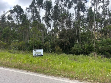 Terreno Agricola ou Rústico para Venda em Silveira