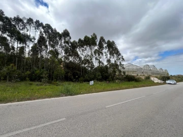 Terreno Agricola ou Rústico para Venda em Silveira
