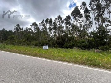 Terreno Agricola ou Rústico para Venda em Silveira
