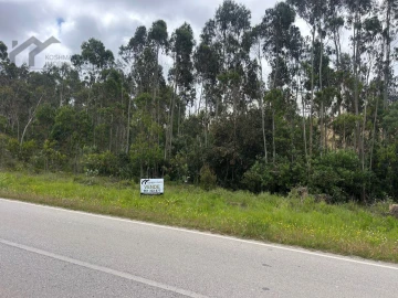 Terreno Agricola ou Rústico para Venda em Silveira