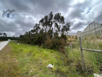 Terreno Agricola ou Rústico para Venda em Silveira